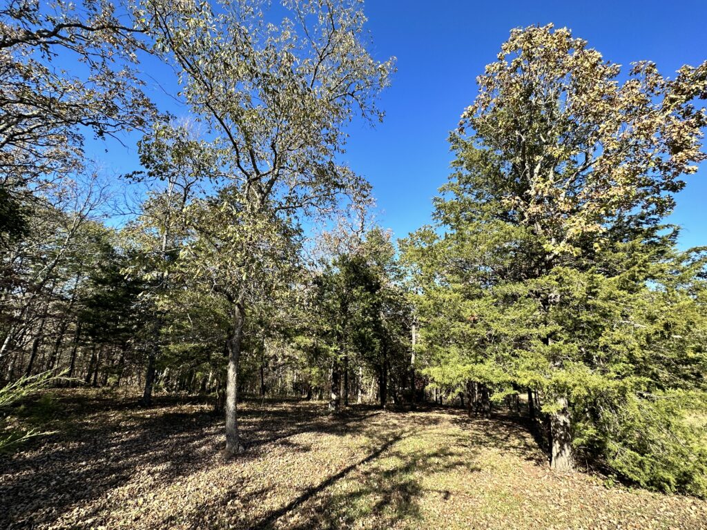 Lot 34 Phase 2 Appaloosa Trail Saddlebrooke Mo 65630 Lot 34 Phase 2 Appaloosa Trail Saddlebrooke Mo 65630