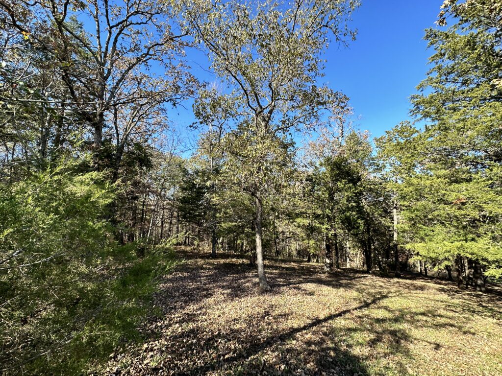 Lot 35 Phase 2 Appaloosa Trail Saddlebrooke Mo 65630 Lot 35 Phase 2 Appaloosa Trail Saddlebrooke Mo 65630